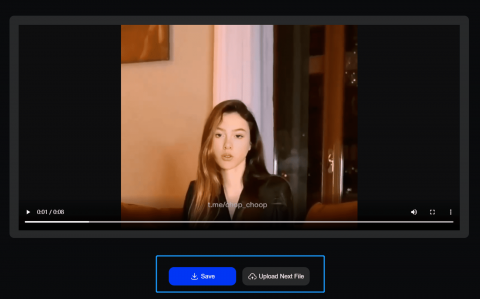 TikTok Dress-Up faceswap video
