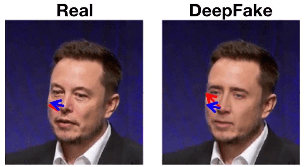 Real and DeepFake