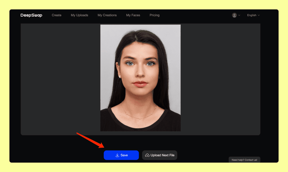 review deepswap step 3-3