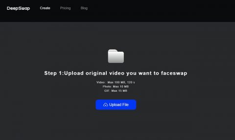 deepswap upload file