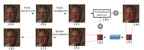 deepfake project